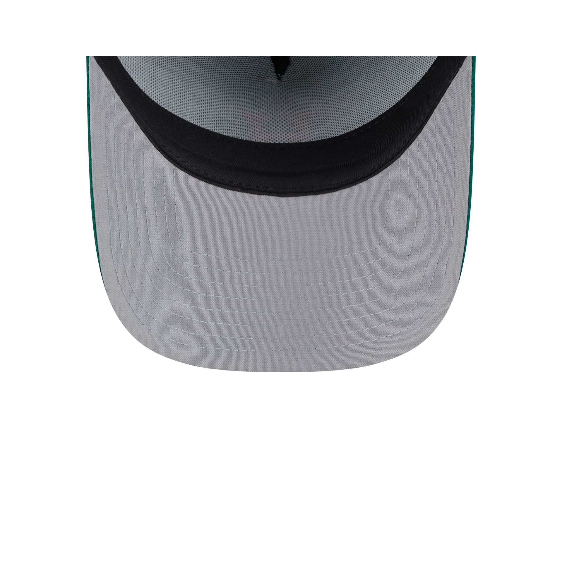 Premium Houston Astros 2025 St. Patrick's Day 9FORTY A-Frame Snapback Hat