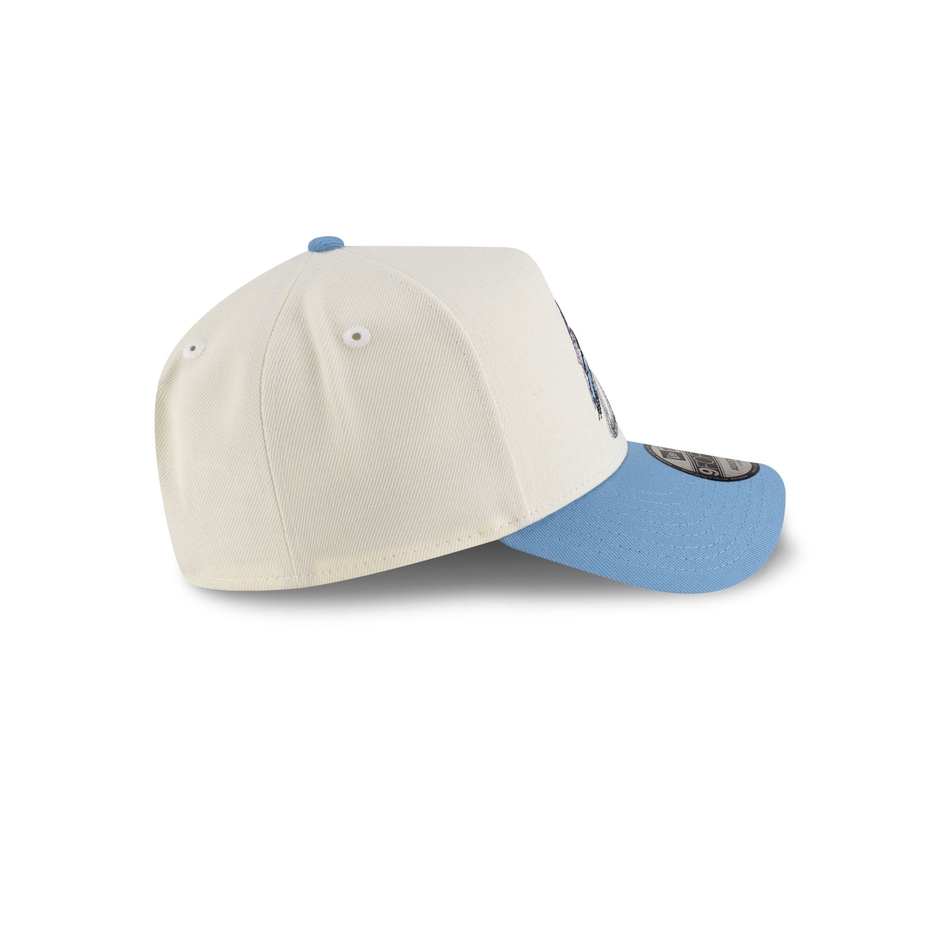 Premium Looney Tunes Roadrunner 9FORTY A-Frame Snapback Hat
