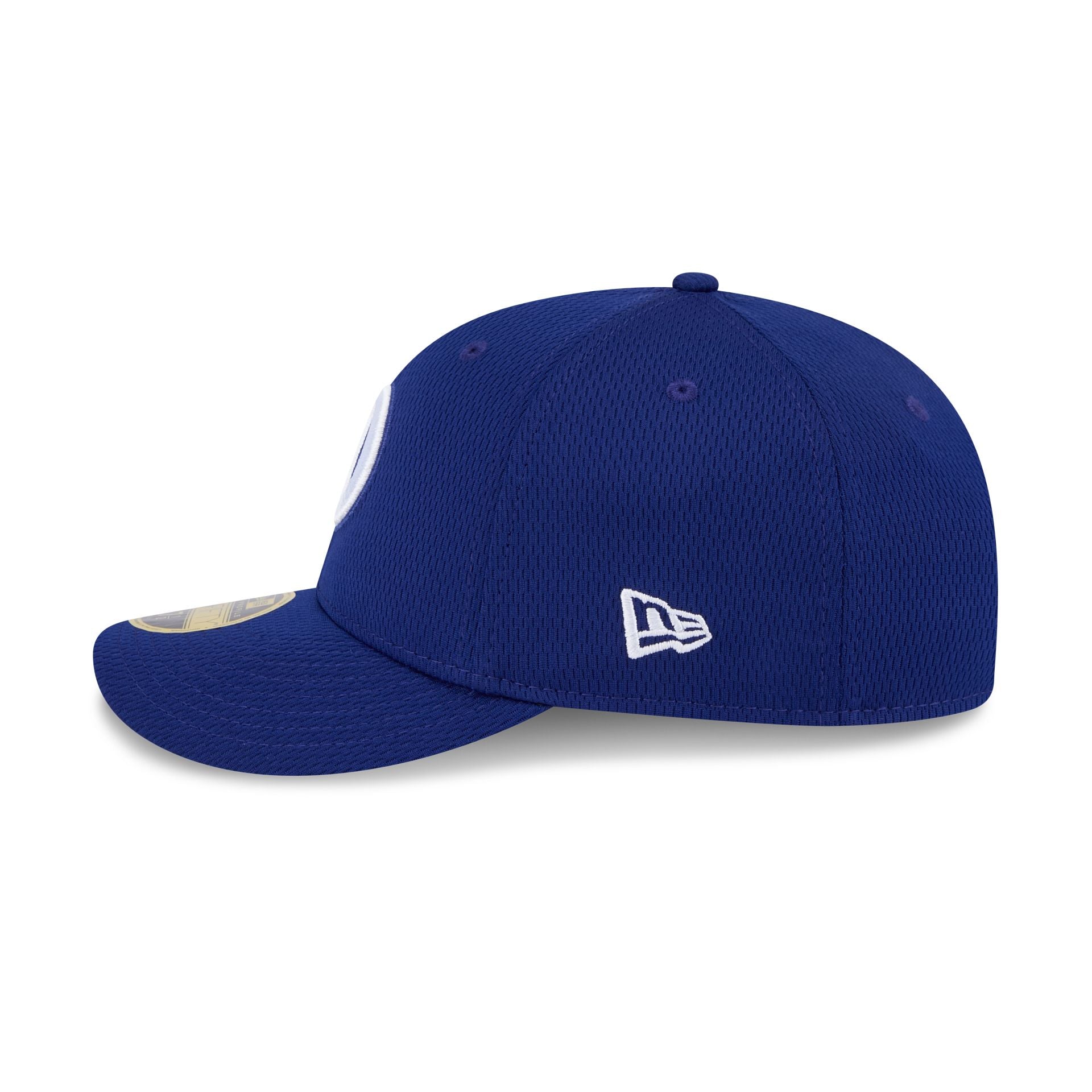 Premium Los Angeles Dodgers 2025 Clubhouse Alt Low Profile 59FIFTY Fitted Hat